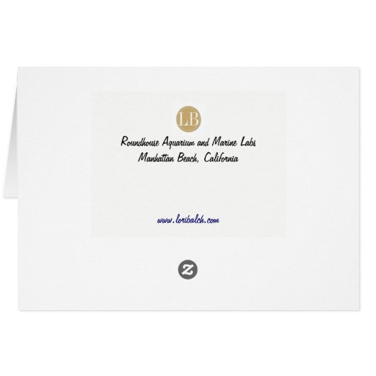 Clam Mystic (Back Horizontal)