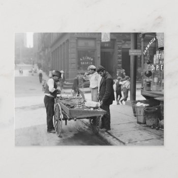 Clam Seller In Little Italy  1906 Postcard by HistoryPhoto at Zazzle
