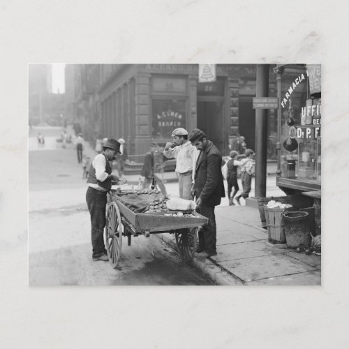 Clam Seller in Little Italy 1906 Postcard