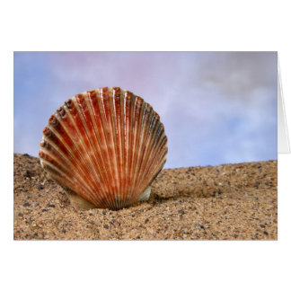 Clam shell cards