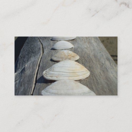 Clam shells business cards