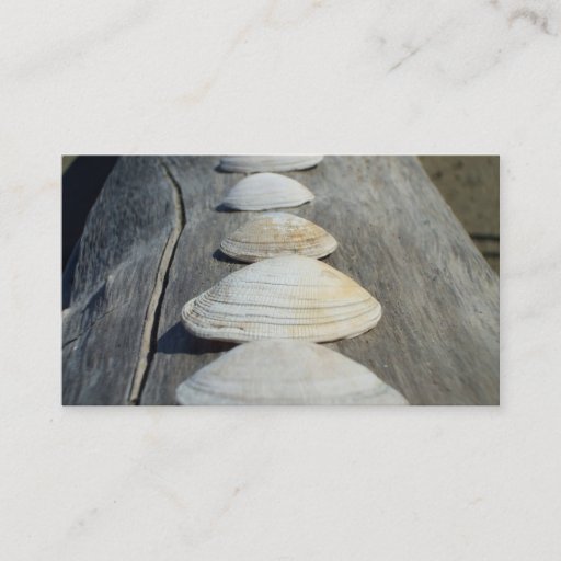 Customizable Clam shells business cards
