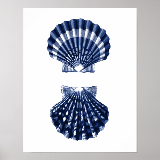 Clam Shells Navy Beach Decor (Front)