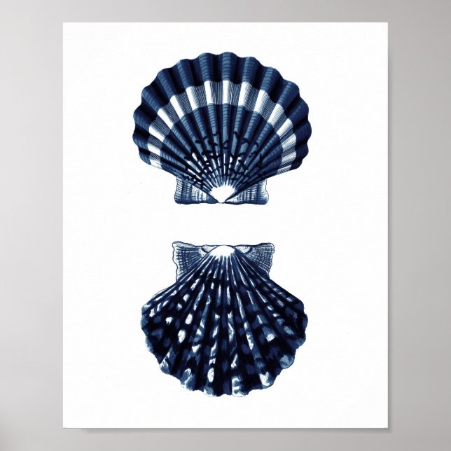 Clam Shells Navy Blue Beach Decor (Front)
