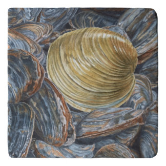 Clams and Quahog Shell Trivet