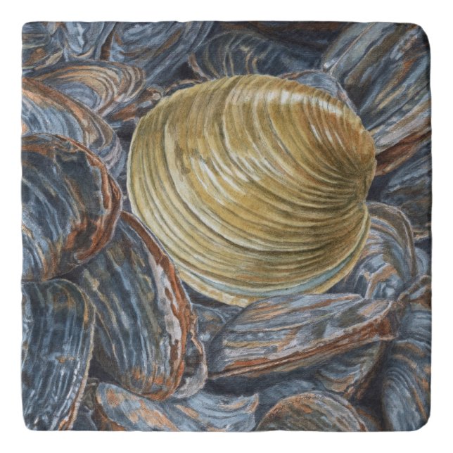 Clams and Quahog Shell Trivet (Front)