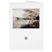 Clamshell Butterfly Art Cards (Back)
