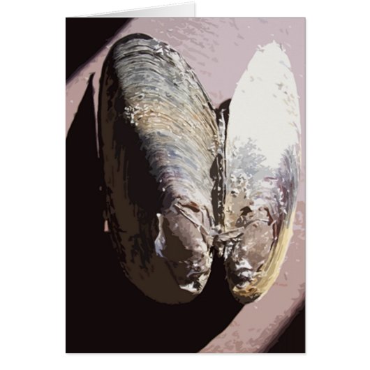 Clamshell Butterfly Art Cards (Front)