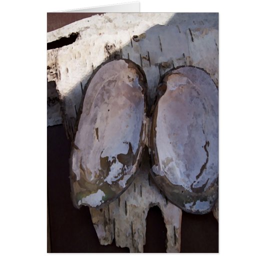 Clamshell Wings (Front)