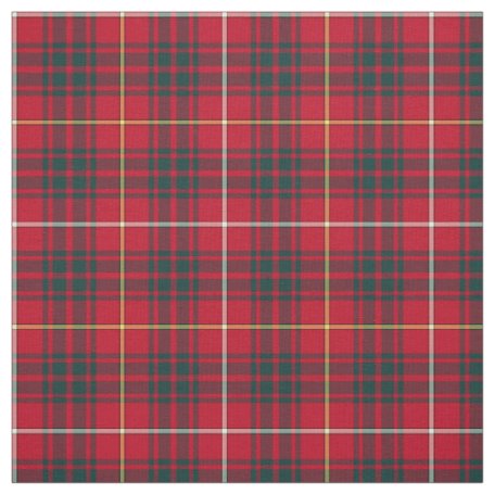 bruce tartan tie
