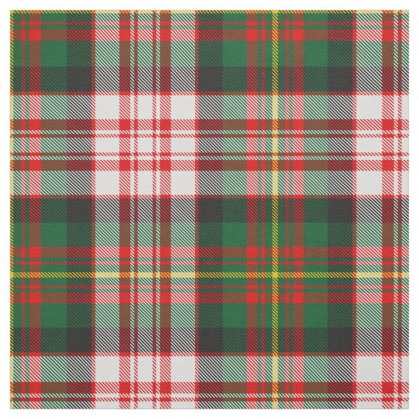 Carnegie Ancient Clan Half Of Tartan Hoodie
