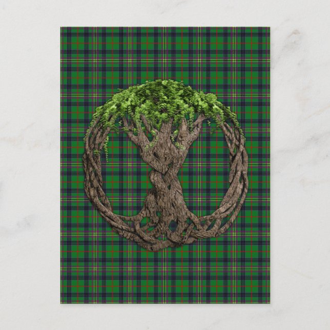 Clan Kennedy Tartan And Celtic Tree Of Life Postcard (Front)