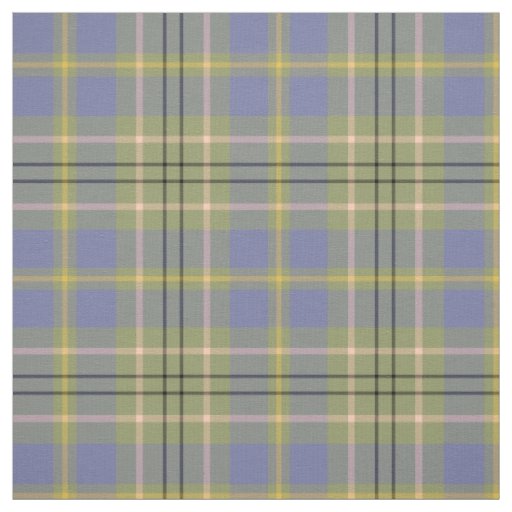 Clan Taylor Tartan (Ancient) Fabric
