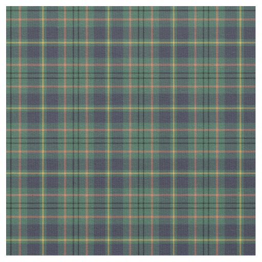 taylor clan tartan fabric