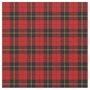 Wallace Weathered Tartan Hoodie - Alba Celtic Style main image 1