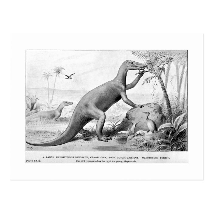 Claosaurus art postcard