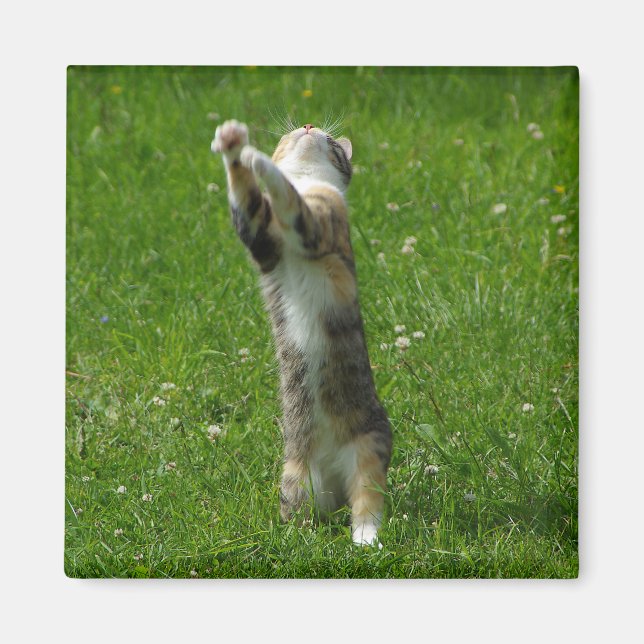 Clap you hands and stamp your feet magnet (Front)