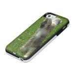 apple_iphone5