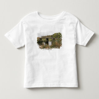 Clapper Bridge In Dartmoor National Park Toddler T-shirt