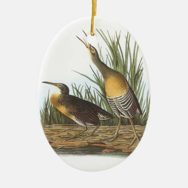 Clapper Rail by Audubon Ceramic Ornament (Front)