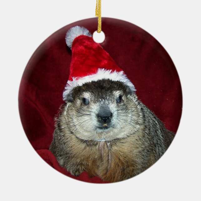 Clara Groundhog Ornament 2 (Back)