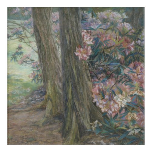 Clara Voortman Rhododendron Bush in a Garden Acrylic Print