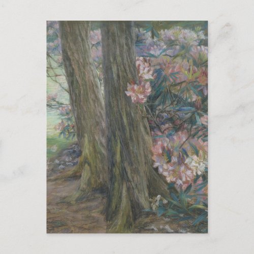 Clara Voortman Rhododendron Bush in a Garden Postcard