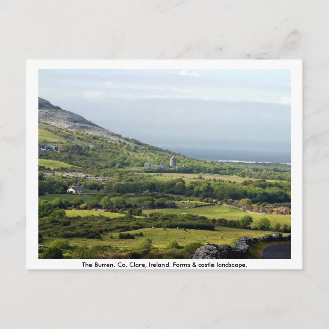 Clare, Ireland, farmhouses & fields in Kilfenora Postcard (Front)