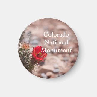 Claret Cup Cactus in Colorado National Monument Magnet