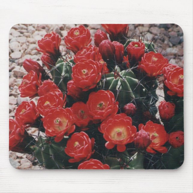 claret cup cactus mouse pad (Front)