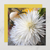 Claricia (Front/Back)