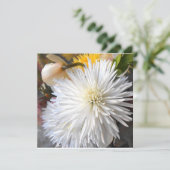 Claricia (Standing Front)