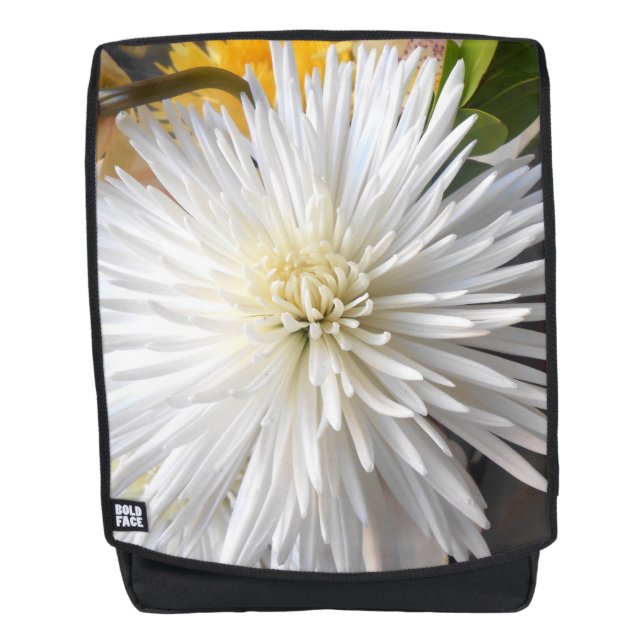 Claricia Backpack (Front)