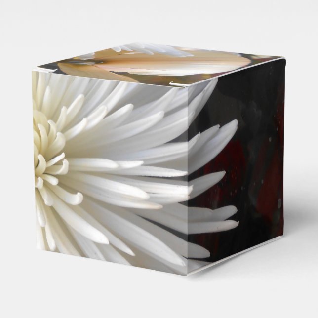 Claricia Favor Boxes (Front Side)