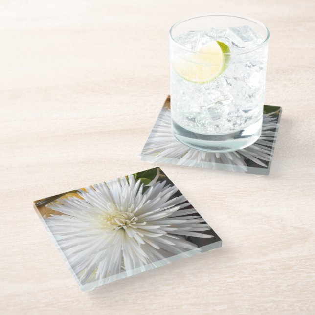 Claricia Glass Coaster (Angled)