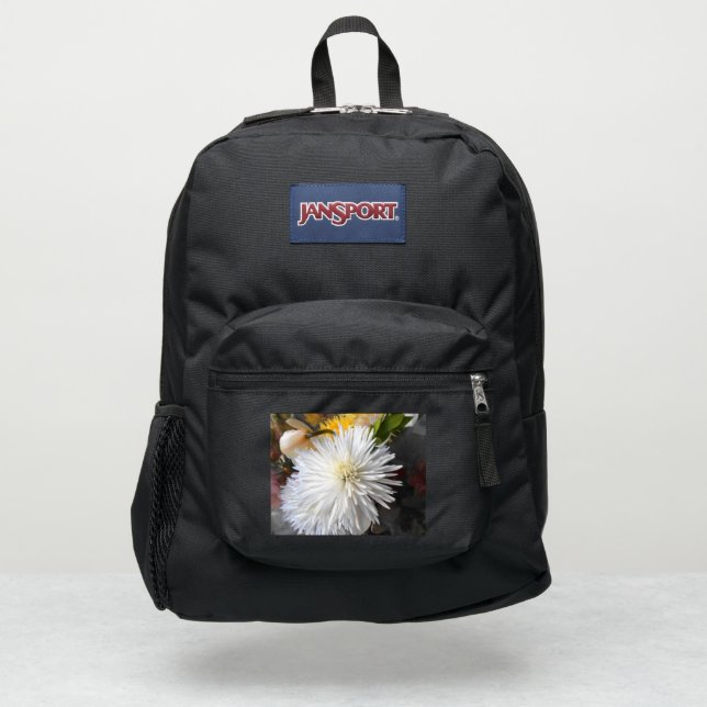 Claricia JanSport Backpack (Front)