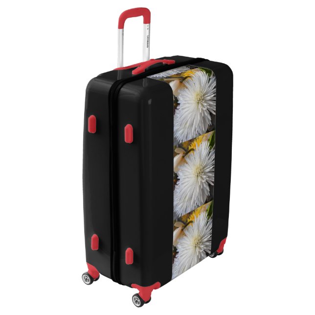 Claricia Luggage (Rotated Left)