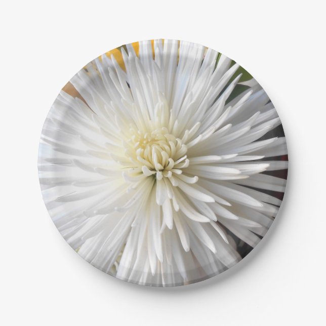 Claricia Paper Plates (Front)