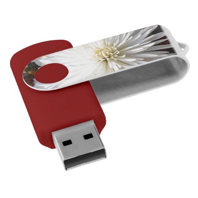 Claricia USB Flash Drive (Angled)