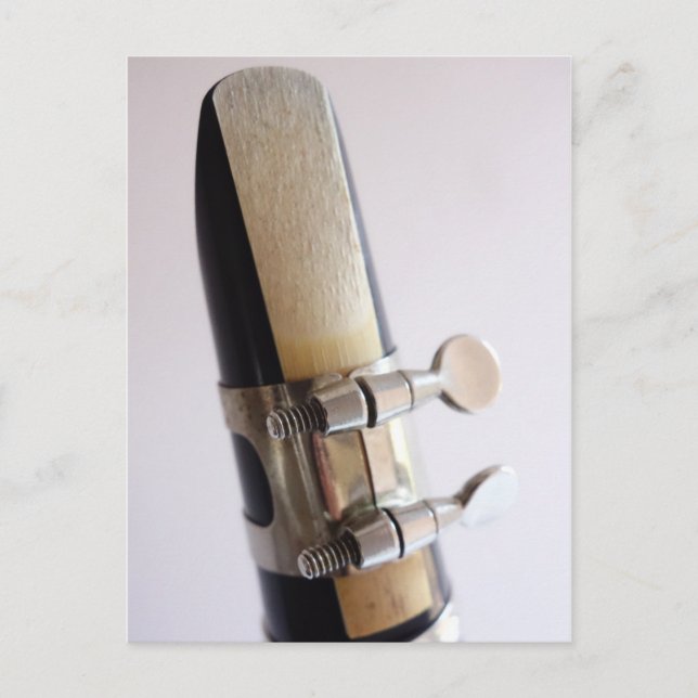 Clarinet Reed Postcard (Front)