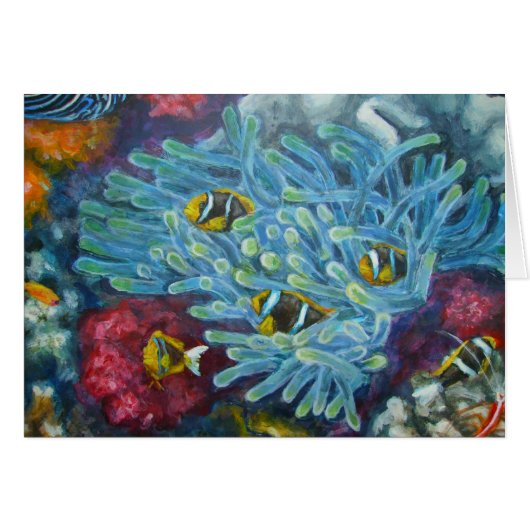 clarks clownfish with anemone cards (Front Horizontal)