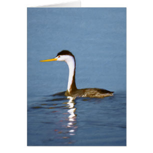 Clark's Grebe Painting - Original Bird Art Cards