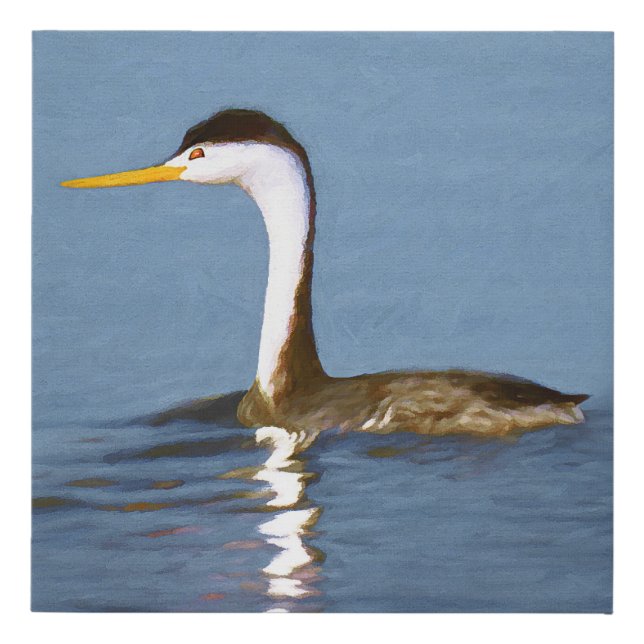 Clark's Grebe Painting - Original Bird Art Faux Canvas Print (Front)