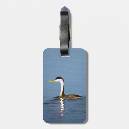 Clarks Grebe Painting _ Original Bird Art Luggage Tag