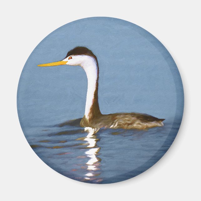 Clark's Grebe Painting - Original Bird Art Magnet (Front)