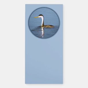 Clark's Grebe Painting - Original Bird Art Magnetic Notepad