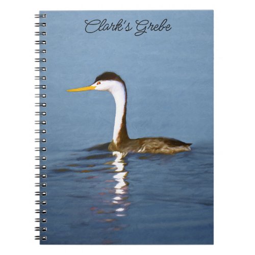 Clarks Grebe Painting _ Original Bird Art Notebook
