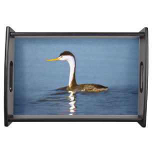 Clark's Grebe Painting - Original Bird Art Serving Tray