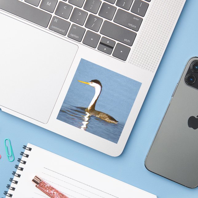 Clark's Grebe Painting - Original Bird Art Sticker (Laptop w/ iPhone)