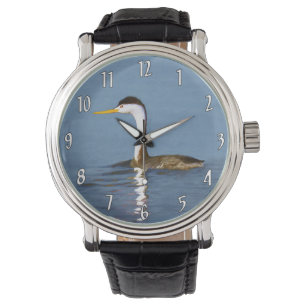 Clark's Grebe Painting - Original Wild Bird Art Watch
